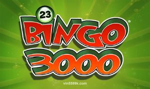 Bingo 3000 vin55